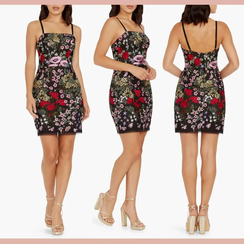 NEW $288 Dress The Population [ Small ] Kyla Floral Embroidered Mini Dress Q1017